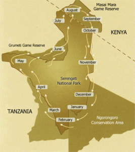 Mapa de migraciones Mapa de migraciones