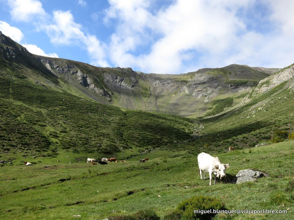 Pico Murcia