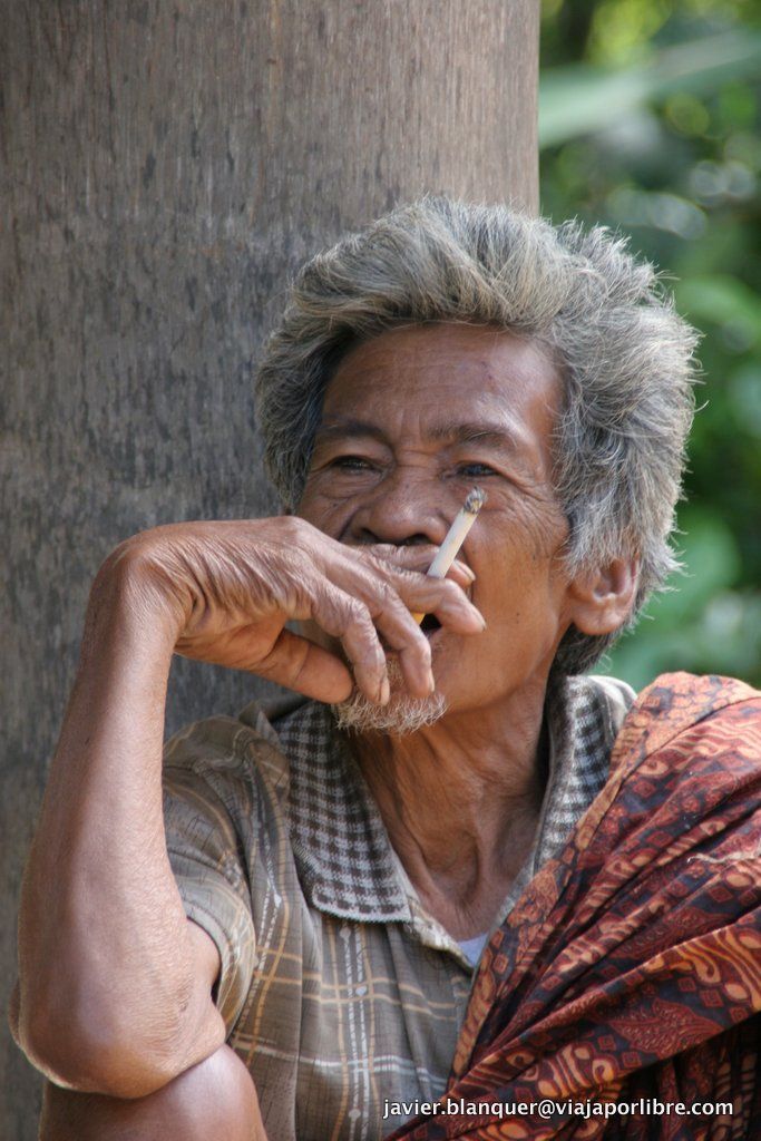 Sulawesi