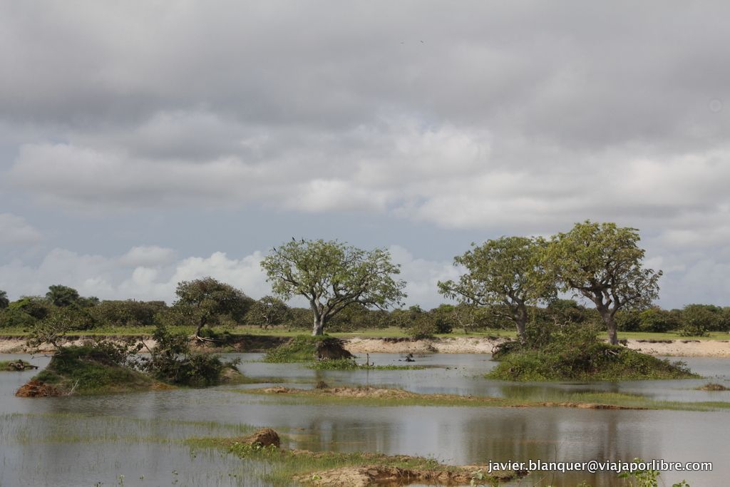 Casamance