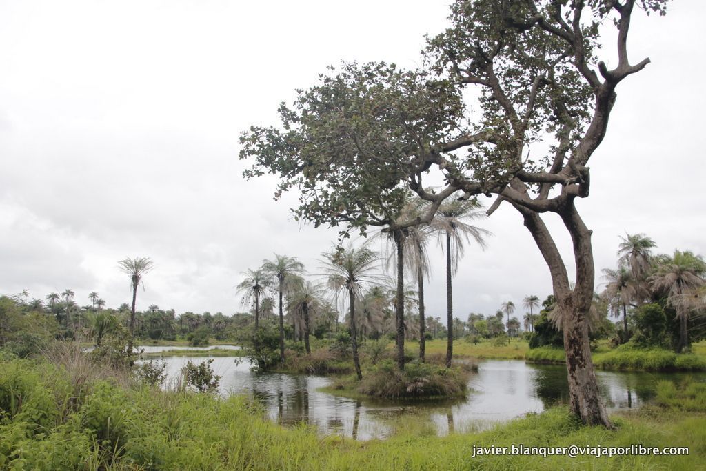 Casamance