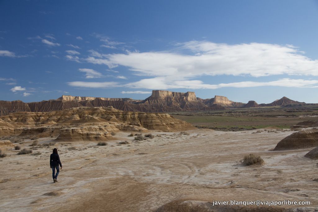 Bardenas reales