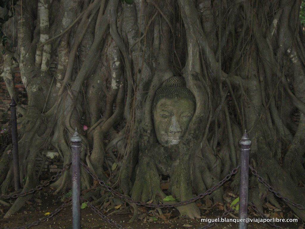 Ayutthaya
