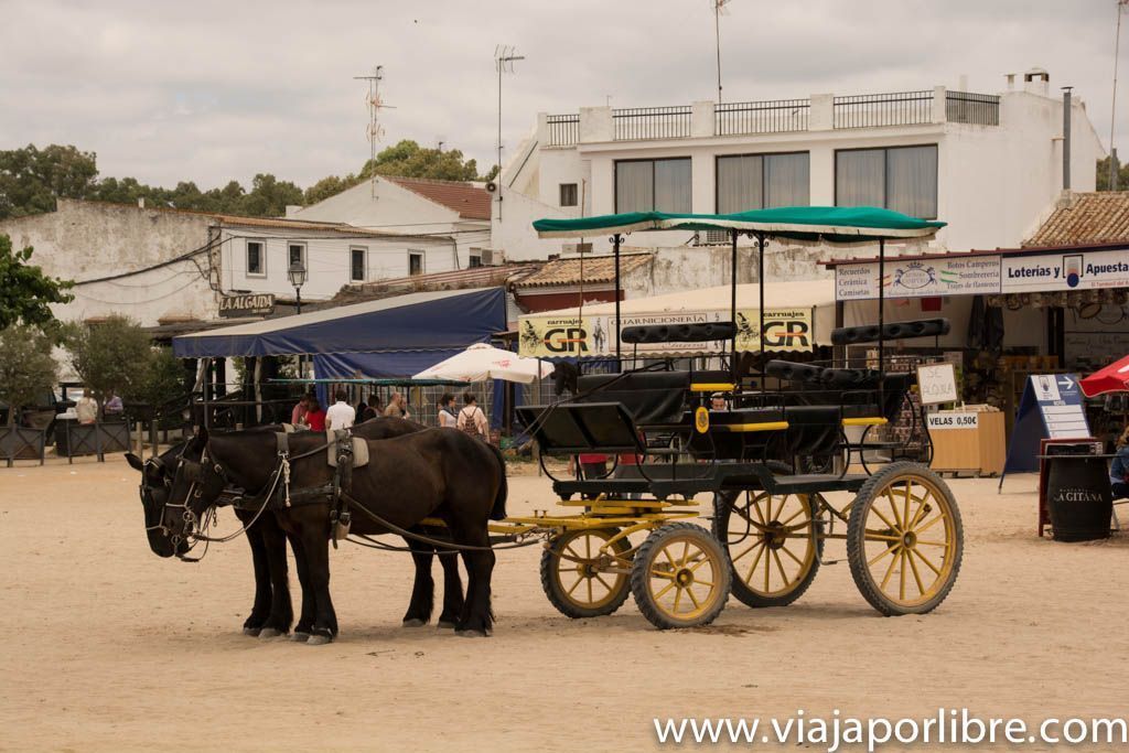 El Rocio El Rocio