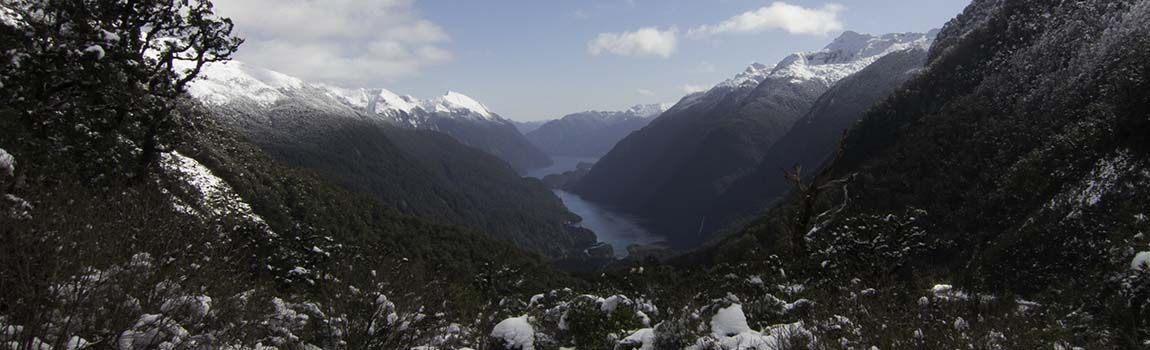 Franz Josef Glacier