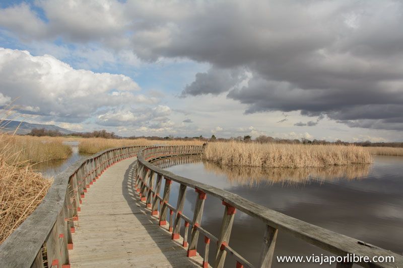Tablas de Daimiel