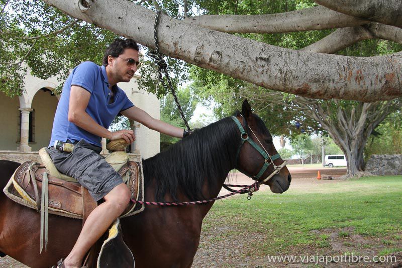 Ruta por Jalisco y Guanajuato, el México colonial en dos semanas