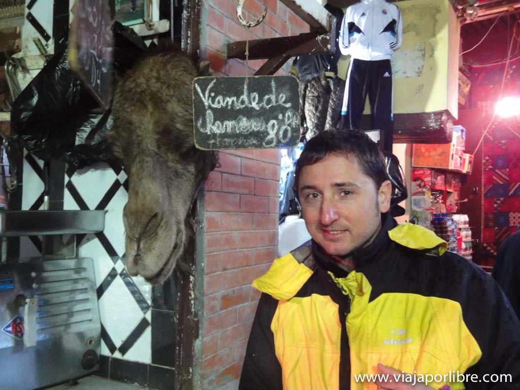 Una cabeza de camello en Marrakech