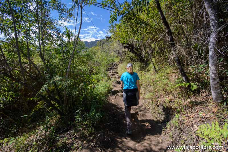 Camino a la Montaña
