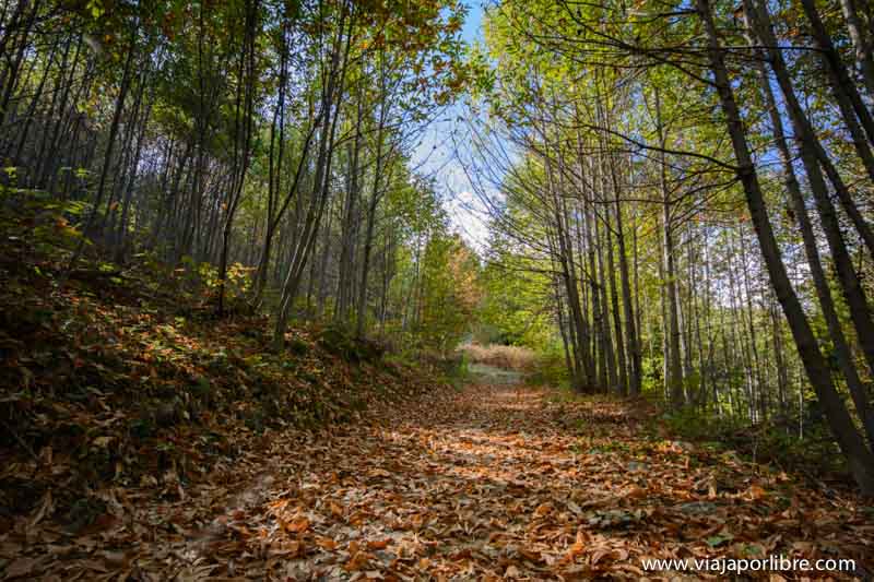 Valle del Jerte - Garganta de los Infiernos