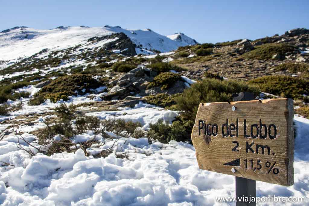 Pico del Lobo