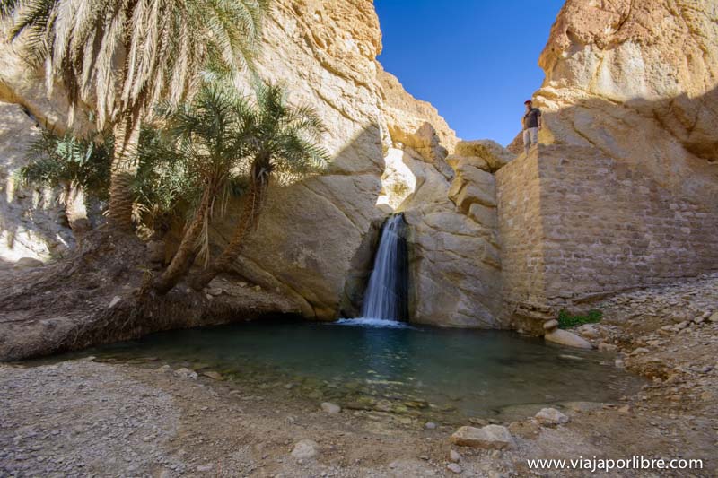Oasis de Chebika - Tunez
