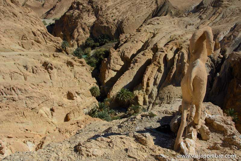 Oasis de Chebika