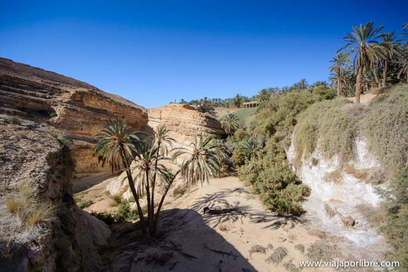 Oasis de Mides