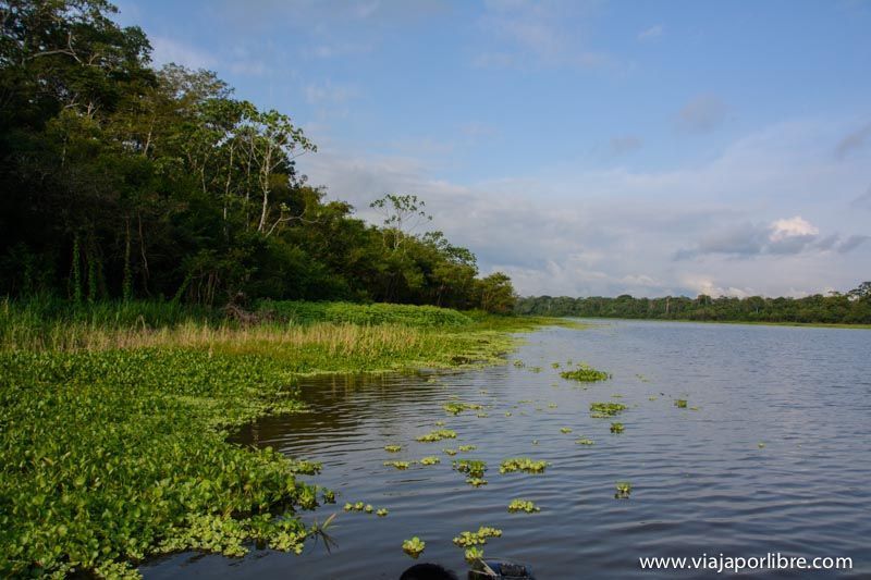 Viajar al Amazonas peruano - Iquitos