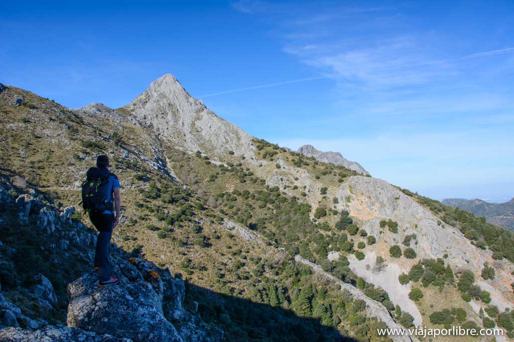 Pinsapar de Grazalema