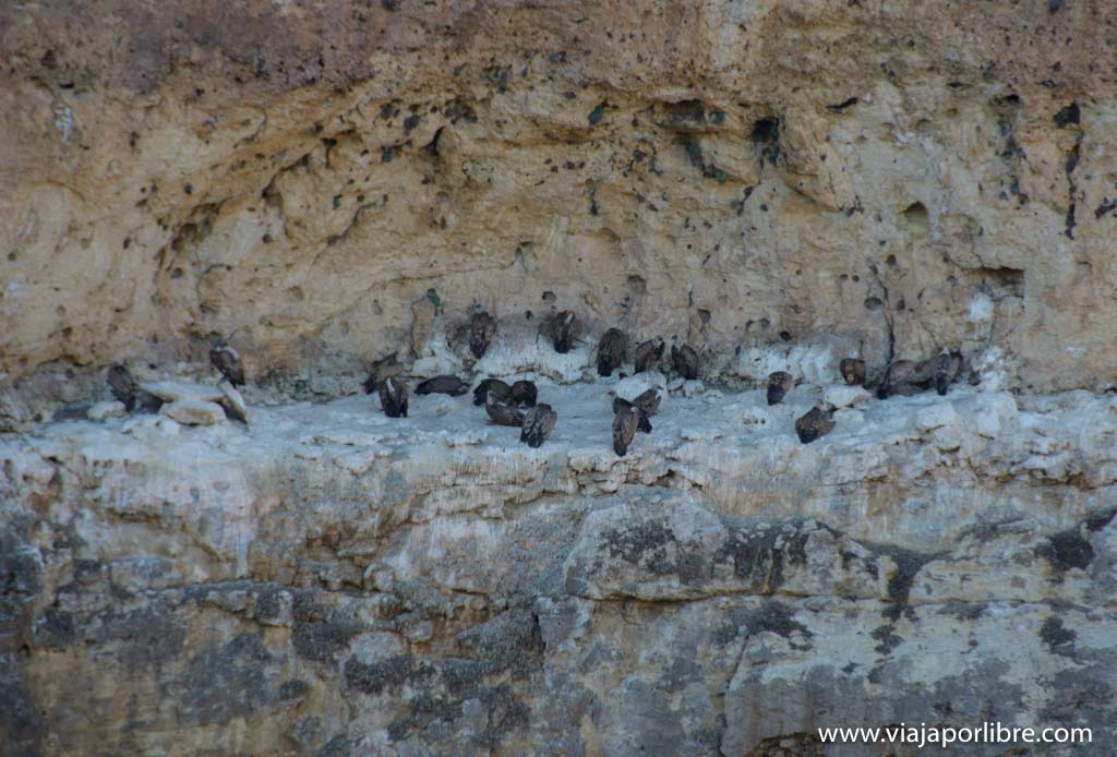 Ermita de San Frutos - Que ver en las Hoces del Duratón