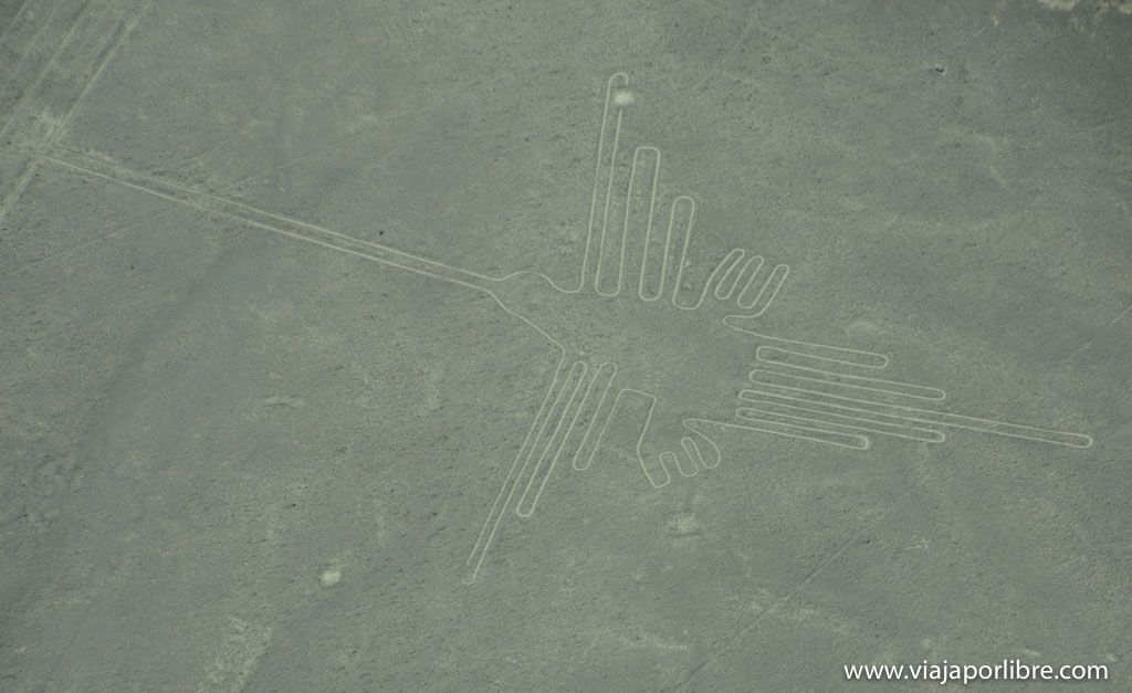 El colibrí - Líneas de Nazca del Perú