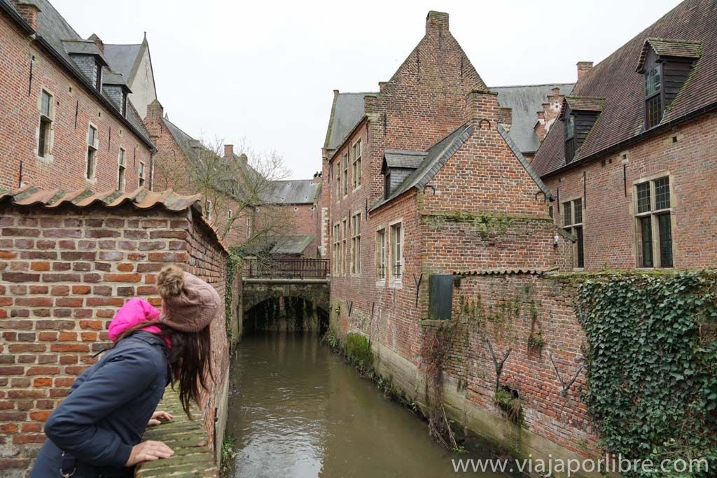 Groot Begijnhof, Lovaina