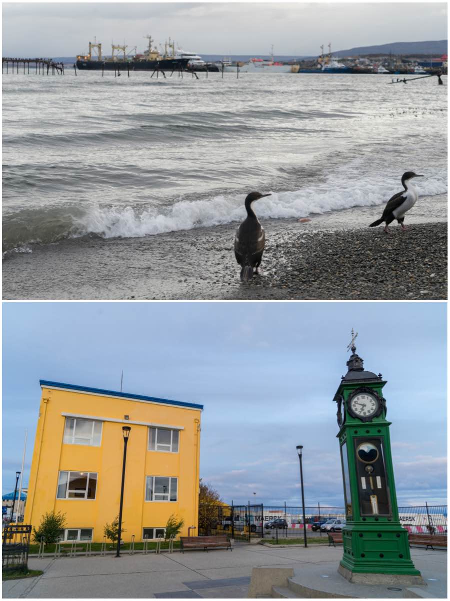 Punta Arenas