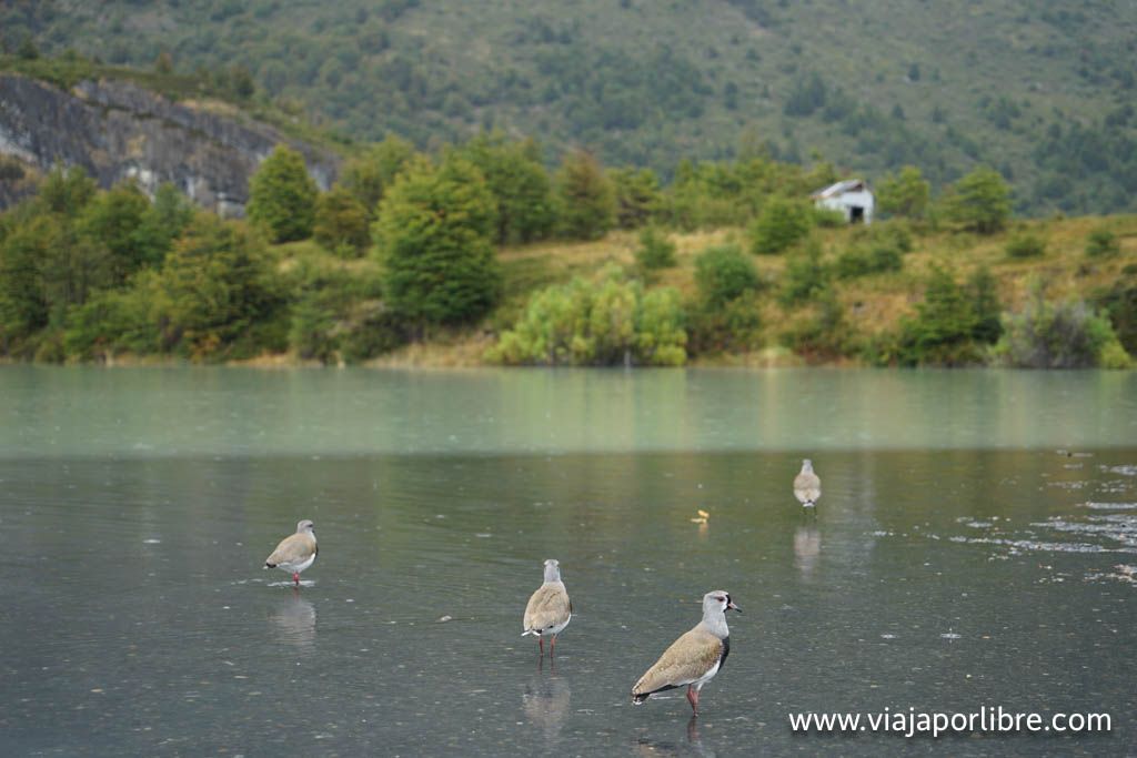 Lago Dickson