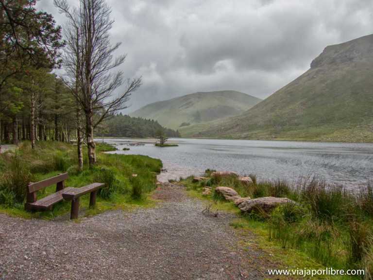 El bosque de Glanteenassig. Trekking en Irlanda