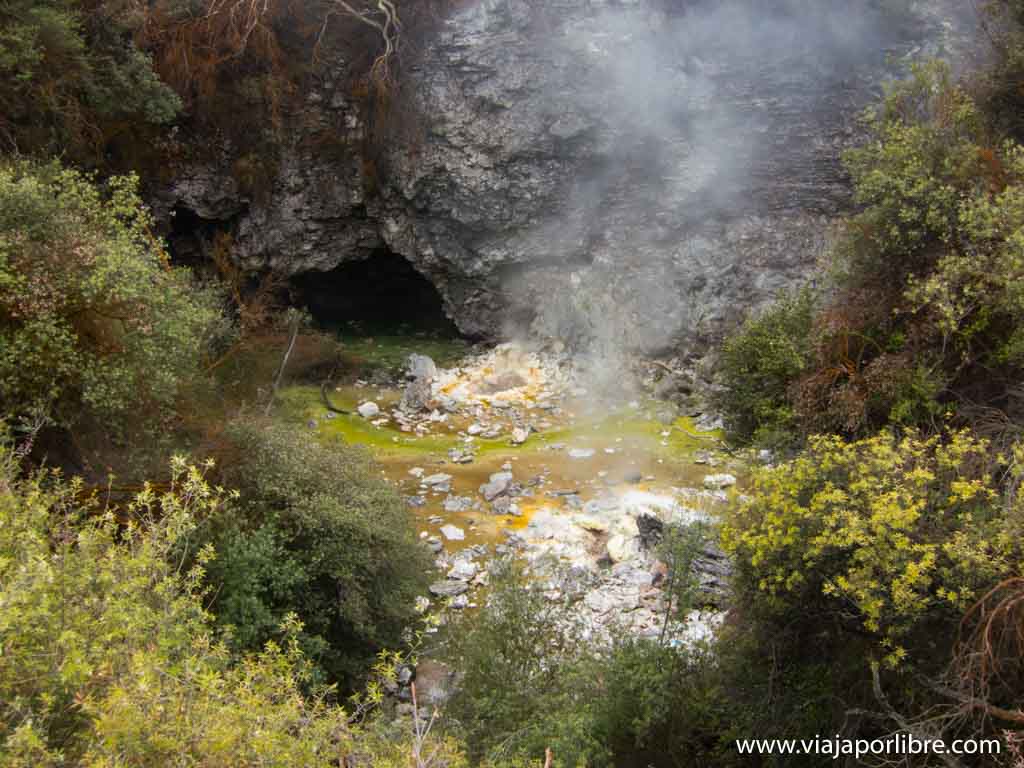 Te Puia. Maoríes y zonas termales en Rotorua
