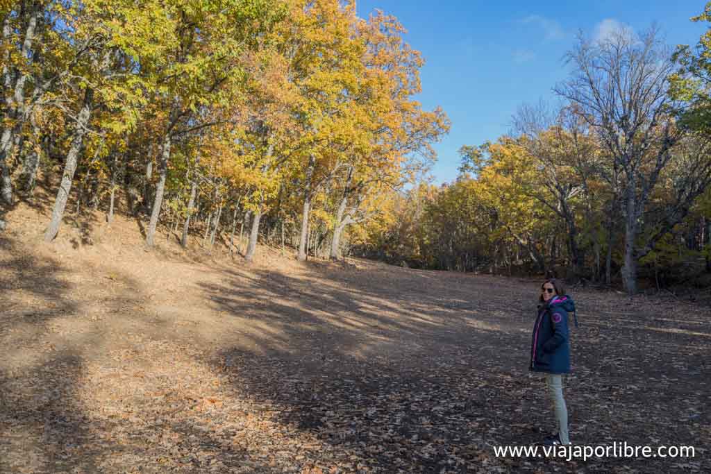 Otoño en la ruta de la Arquitectura Negra
