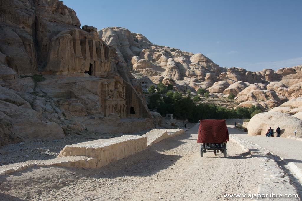 Lugares que debes visitar en Petra incluido el Tesoro
