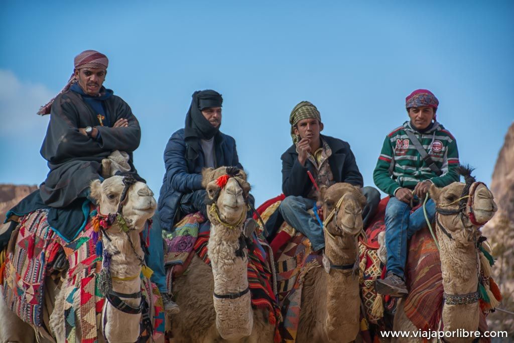 Lugares que debes visitar en Petra incluido el Tesoro