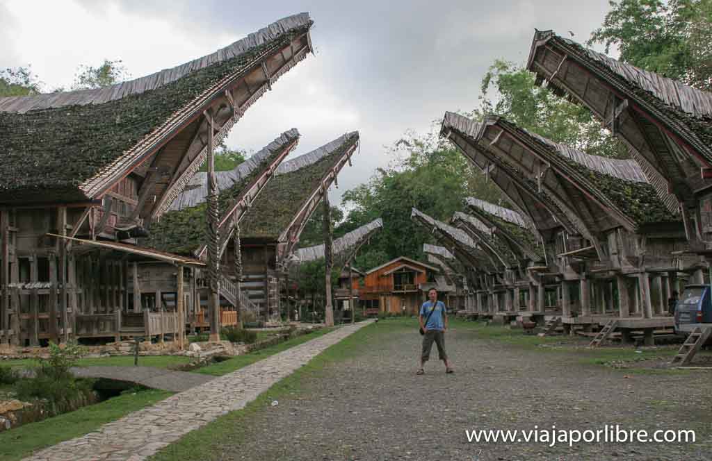Que ver en Indonesia Tana Toraja