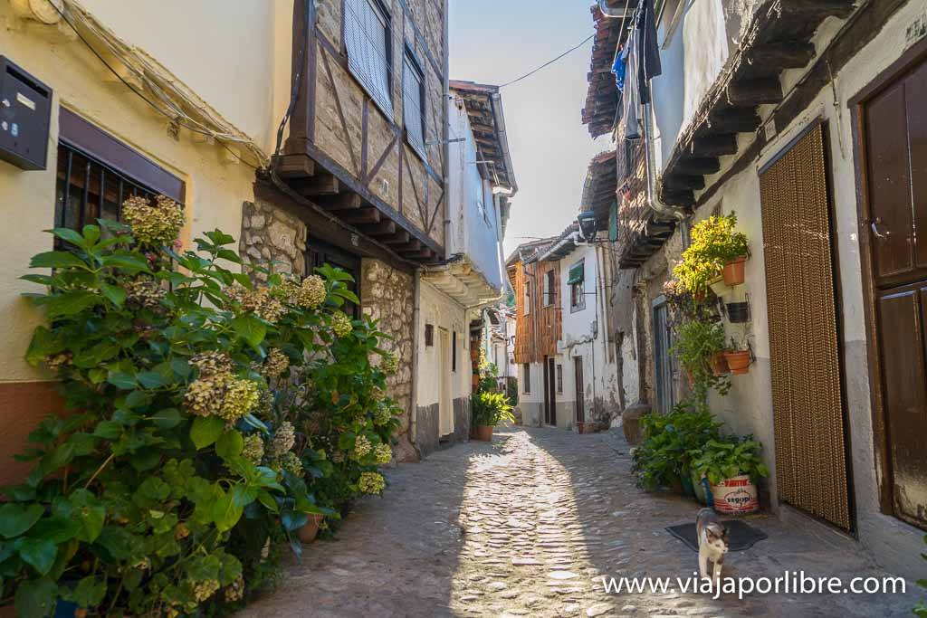Barrio judío de Hervás