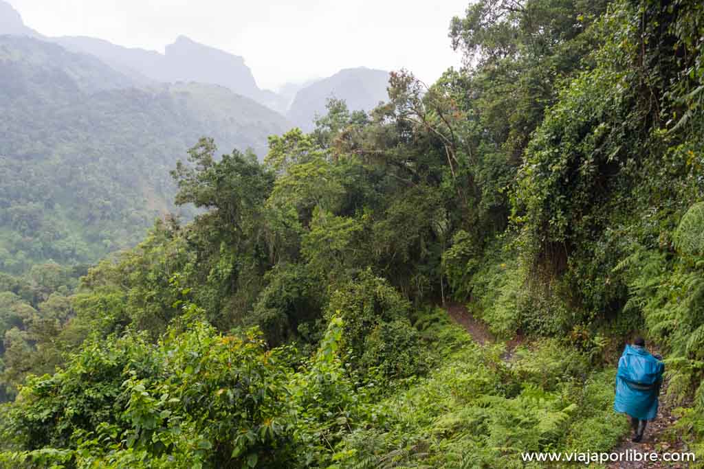 Travesía de 8 días en Rwenzori