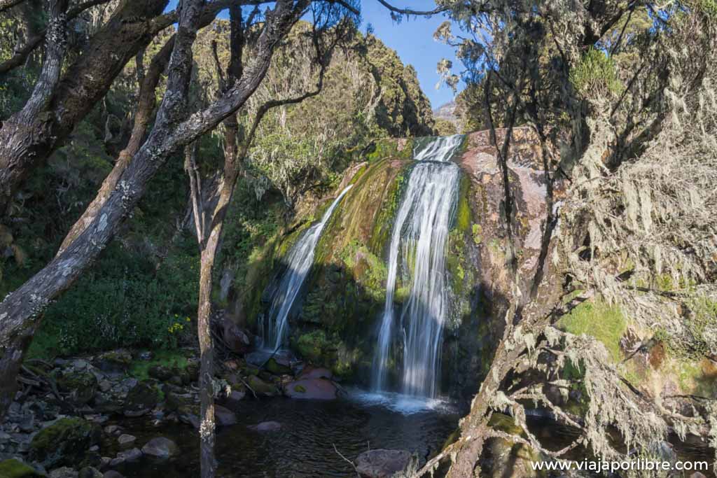 Travesía de 8 días en Rwenzori