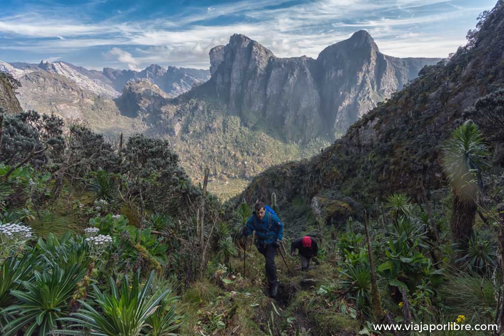 Travesía de 8 días en Rwenzori