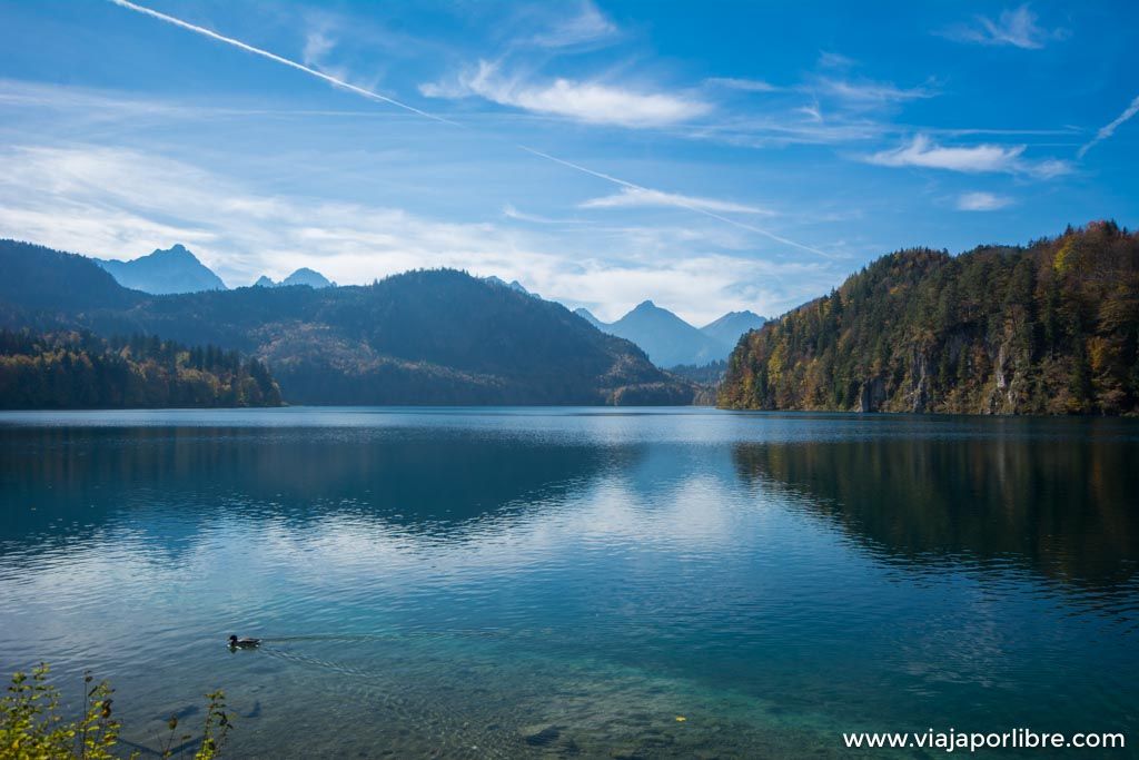 Visita al castillo de Neuschwanstein Visita al castillo de Neuschwanstein