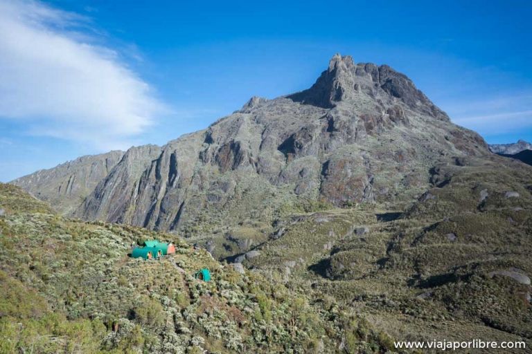 Rwenzori – Etapa . Hunwick's camp a Marguerita Camp