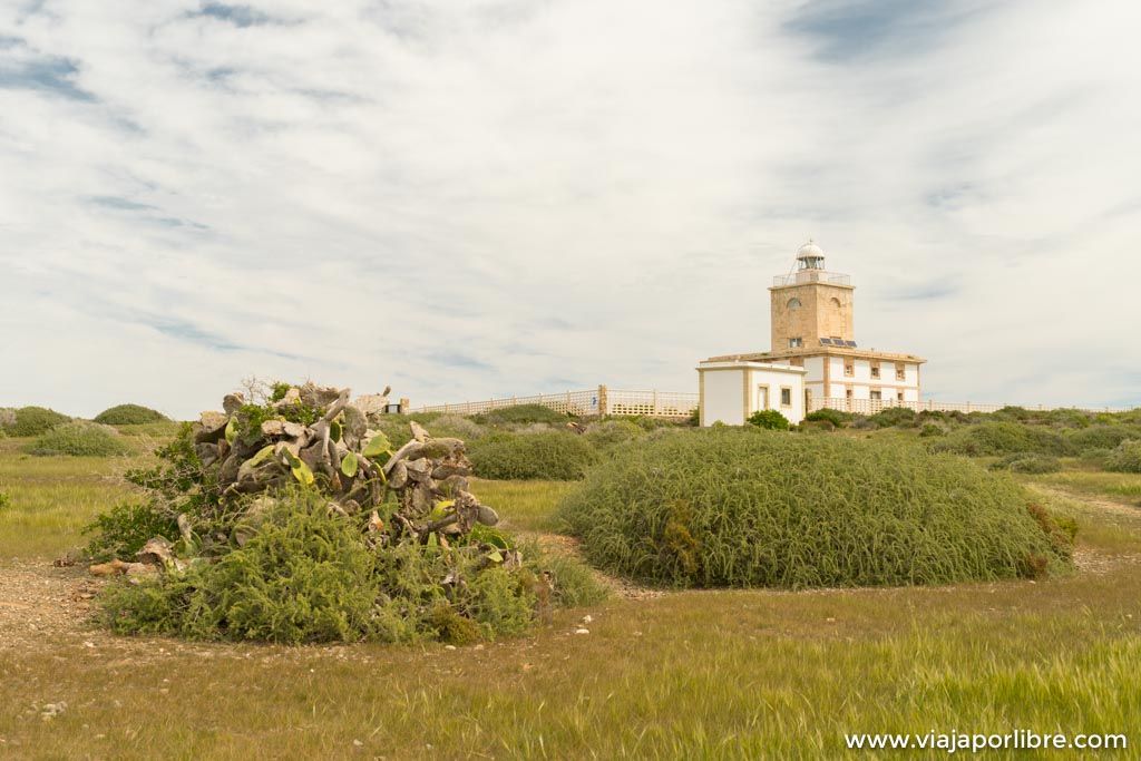 Que ver y como llegar a la isla de Tabarca Que ver y como llegar a la isla de Tabarca