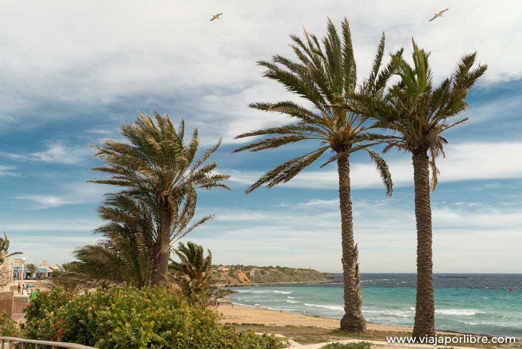 Que ver y como llegar a la isla de Tabarca Que ver y como llegar a la isla de Tabarca