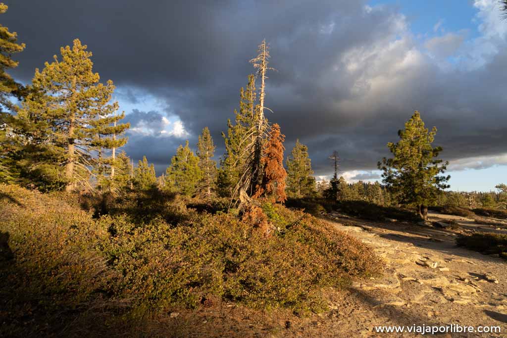 Ruta por Taft point y Sentinel Dome en Yosemite National Park Ruta por Taft point y Sentinel Dome en Yosemite National Park