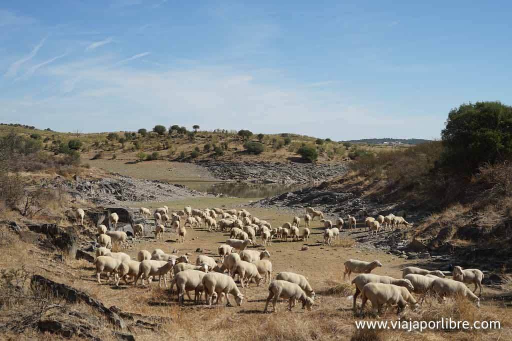 senderismo en el Alentejo Senderismo en el Alentejo