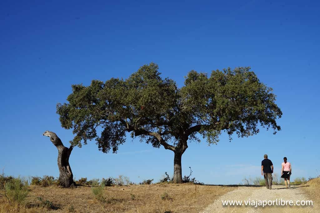 senderismo en el Alentejo Senderismo en el Alentejo