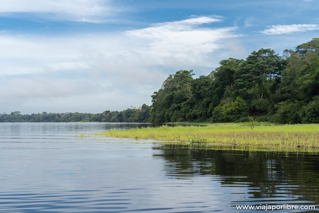 Leticia, puerta de entrada al Amazonas colombiano Leticia, puerta de entrada al Amazonas colombiano