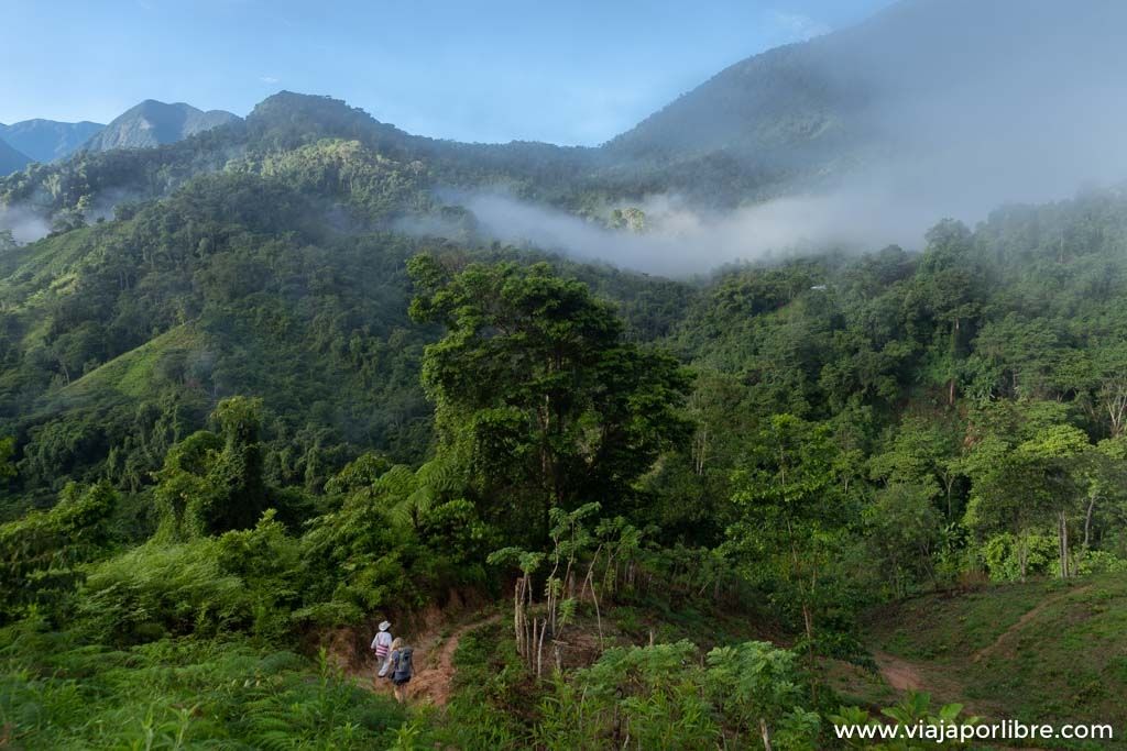 Día 2 – Ciudad Perdida – Campamento Vista Hermosa a Paso Lorenzo