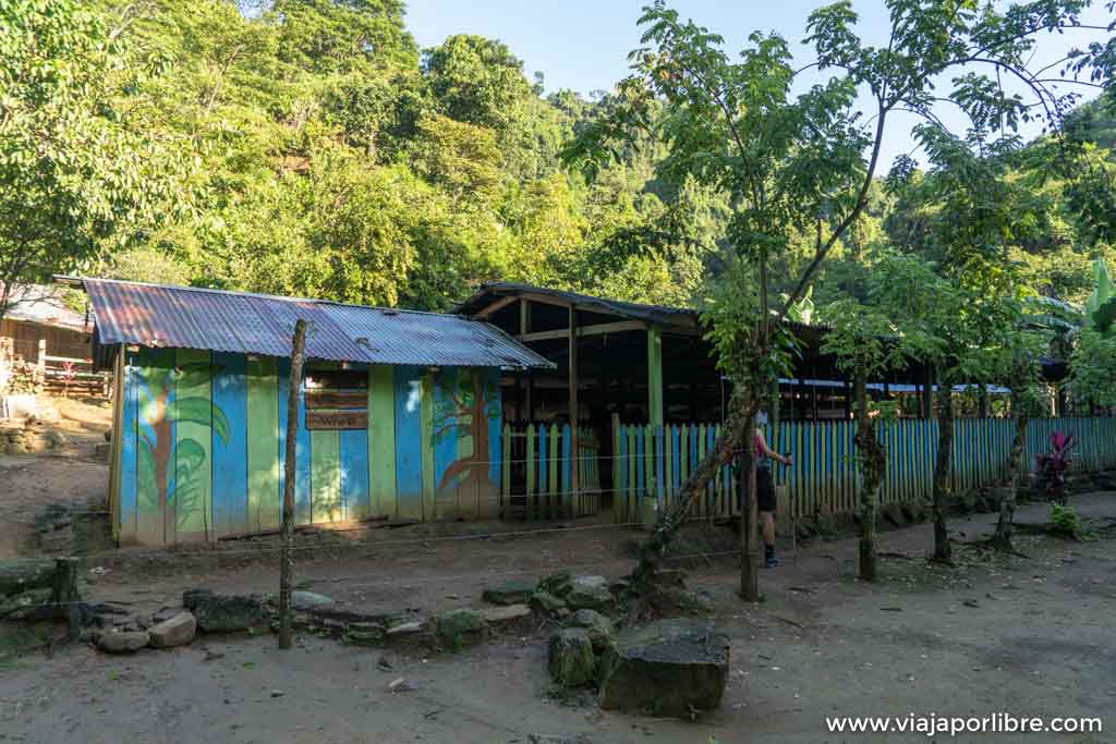 Día 4 – Ciudad Perdida - De vuelta a Santa Marta Día 4 – Ciudad Perdida - De vuelta a Santa Marta