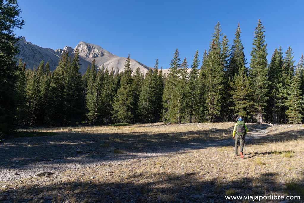 Trekking en Great Basin y el Wheeler Peak (Nevada, USA) Trekking en Great Basin y el Wheeler Peak (Nevada, USA)