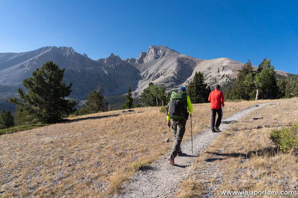 Trekking en Great Basin y el Wheeler Peak (Nevada, USA) Trekking en Great Basin y el Wheeler Peak (Nevada, USA)