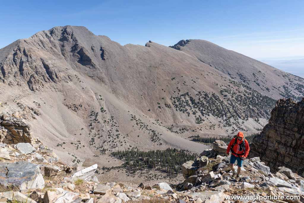 Trekking en Great Basin y el Wheeler Peak (Nevada, USA) Trekking en Great Basin y el Wheeler Peak (Nevada, USA)