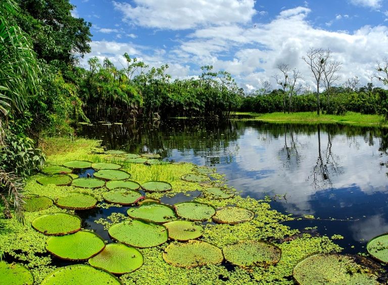 Reserva Pacaya Samiria, Loreto © Jungle Experiences