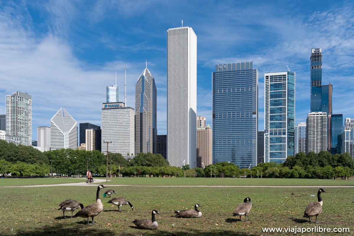 Parques de Chicago Parques de Chicago
